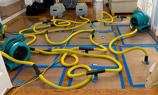 Professional Storm Water Damage Restoration technician working in Ashville, AL