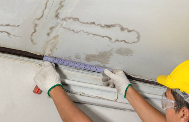 Affordable Water Damage Repair solutions in Ashville, AL